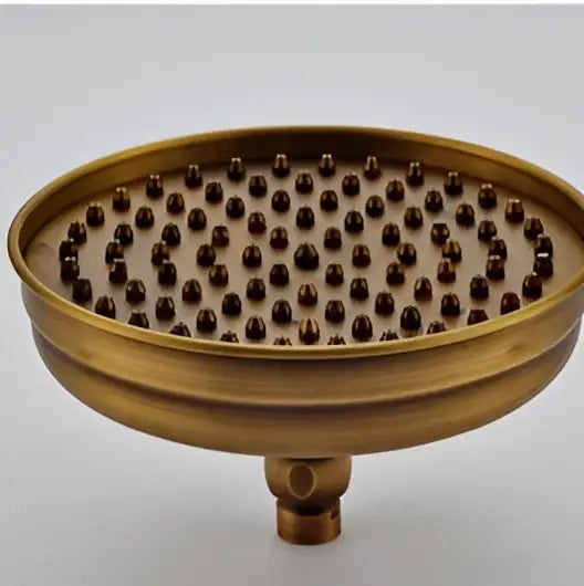 Decorbites™ 8 inch brass shower head with dark brown nozzles in circular pattern for bathroom rainfall use