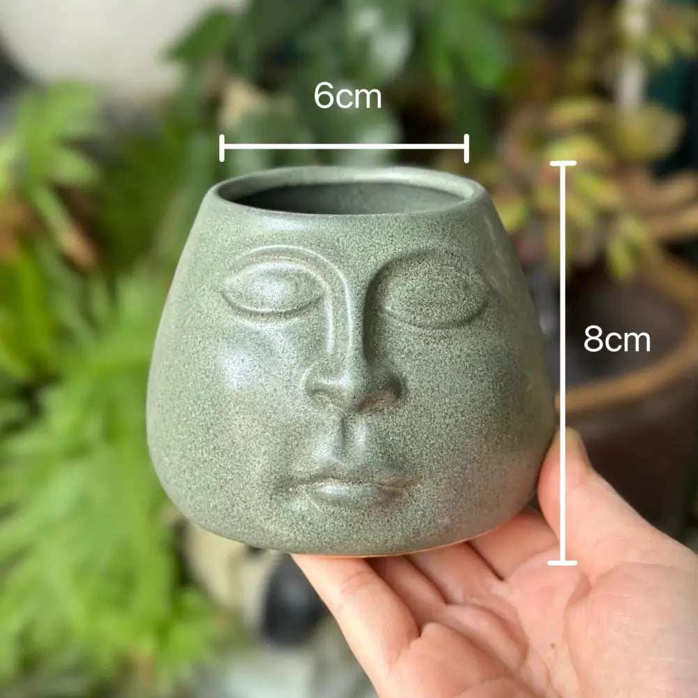 A matte sage green abstract face ceramic planter from decorbites abstract face collection for home decor use