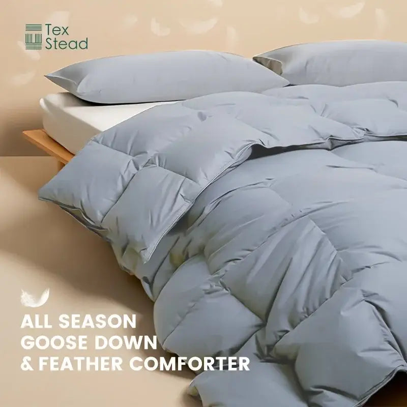 Light blue DecorBites all season lightweight goose down comforter duvet insert with quilted design in twin queen king size