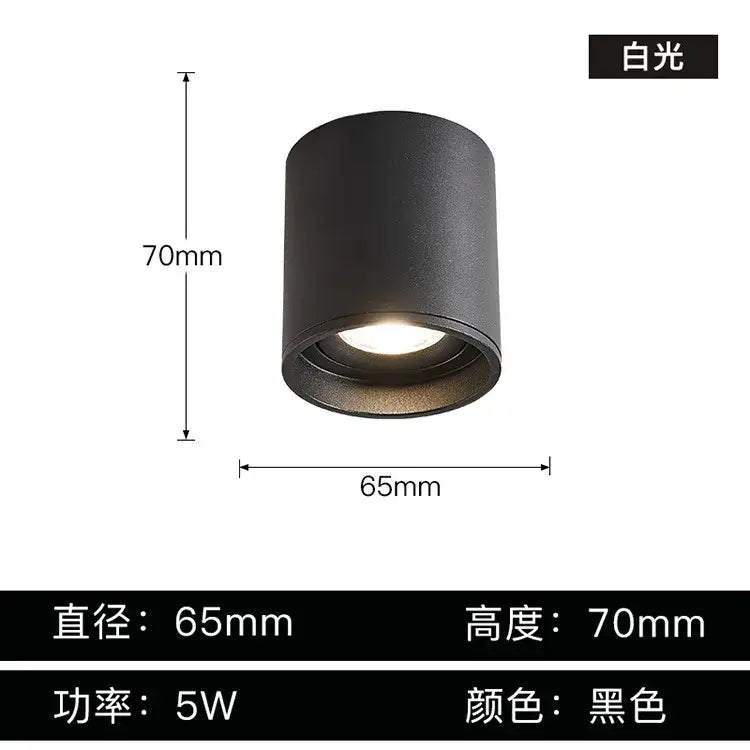 Decorbites aluminum ceiling lamp cylindrical surface mounted downlight in black matte finish emitting white light