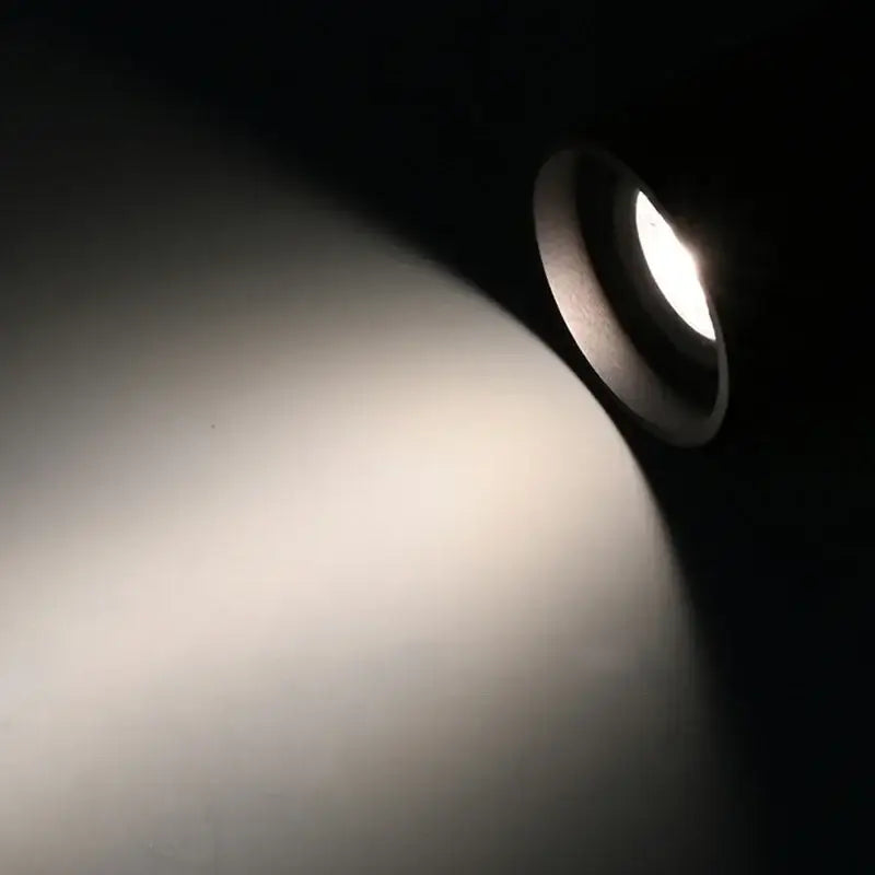 A sleek decorbites aluminum ceiling lamp with a cylindrical metallic rim and adjustable beam angle casting bright white light