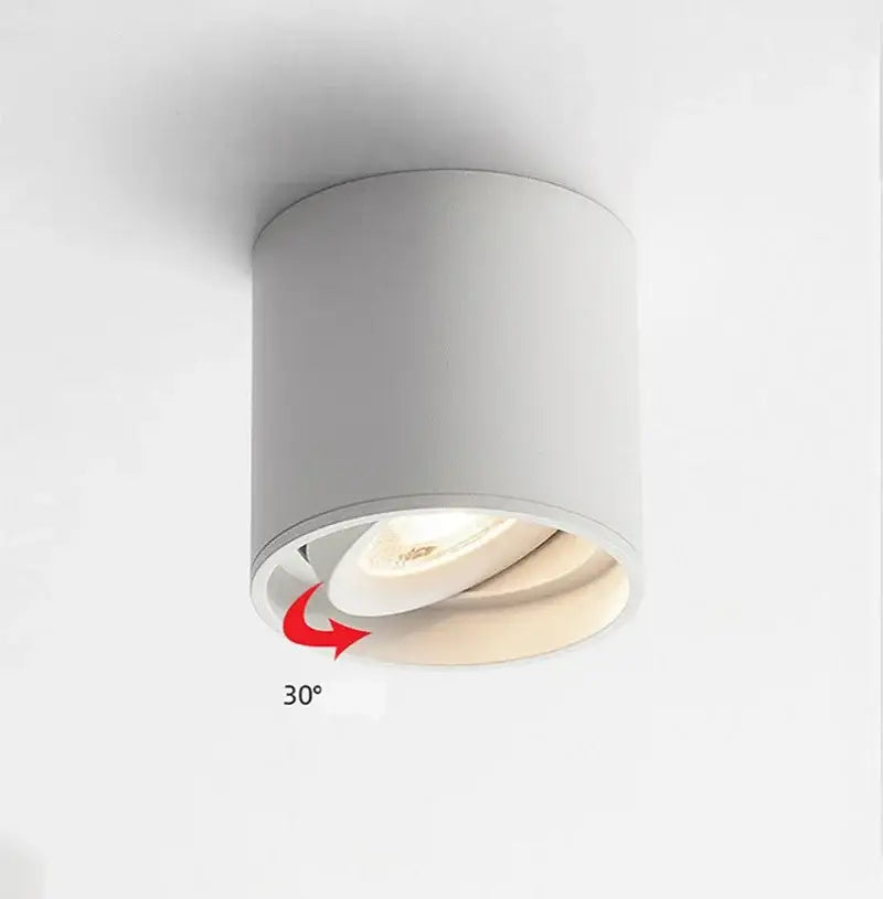 Decorbites™ aluminum ceiling lamp white cylindrical spotlight with 30-degree adjustable beam angle surface mounted downlight