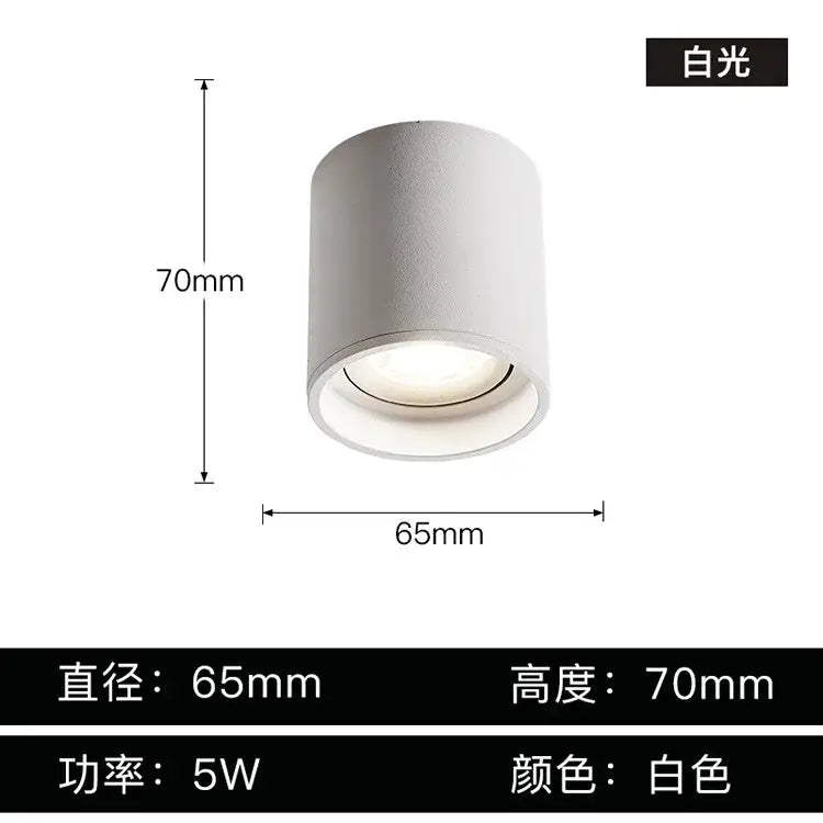 White cylindrical aluminum ceiling lamp with matte finish 5w power and adjustable beam angle downlight by decorbites