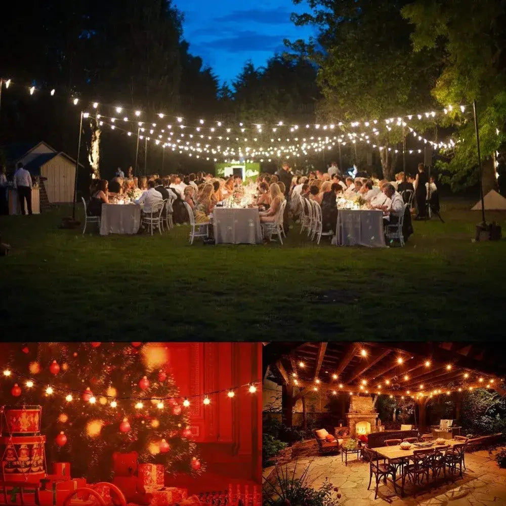 String of decorbites™ amber glass led filament globe bulbs emitting warm white light draped over outdoor festive trees