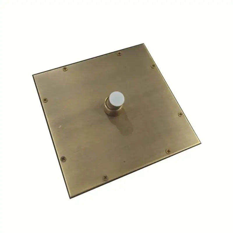 Square brass wall plate with central white push-button for DecorBites antique brass 8-inch rainfall shower head