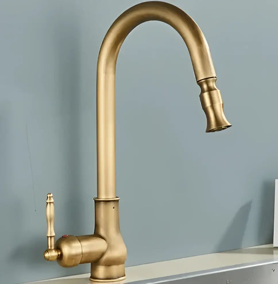 Decorbites antique brass kitchen faucet with 360° rotation curved spout and ornate brass handle for sink use