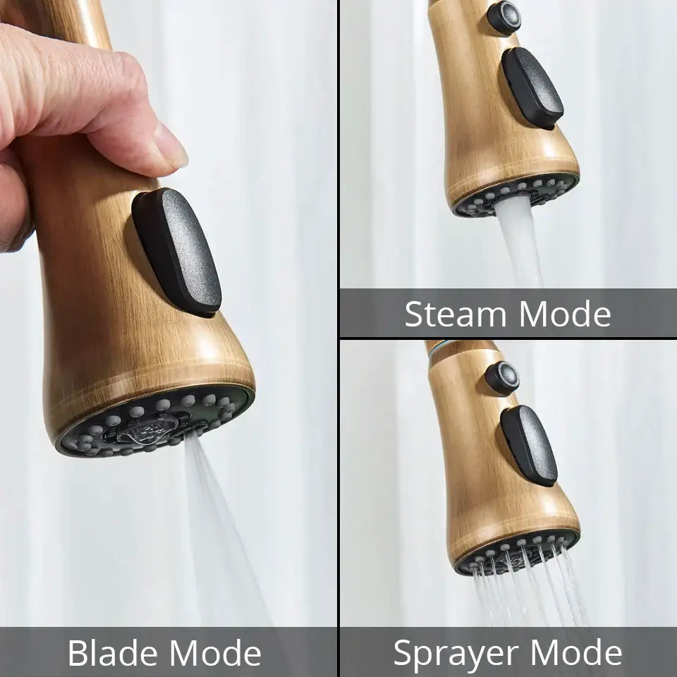 Decorbites™ antique brass kitchen faucet with bronze finish black rubberized buttons and multiple spray settings