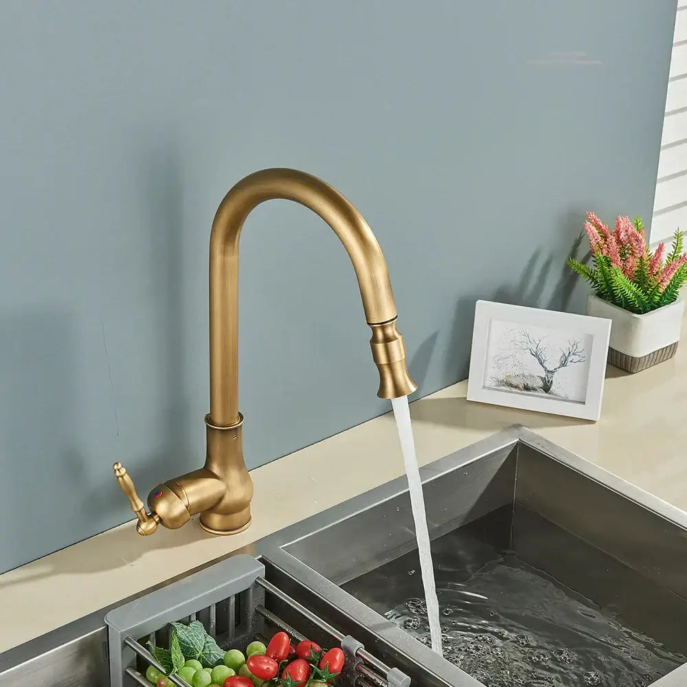 DecorBites™ antique brass kitchen faucet with pull out spout black swivel mixer tap and curved lever handle