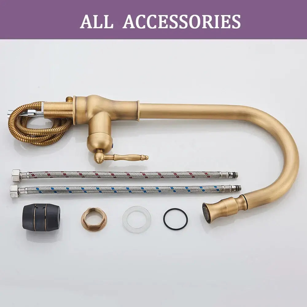 Decorbites™ antique brass kitchen faucet with swivel spout, pull down hose, and braided silver and blue supply lines