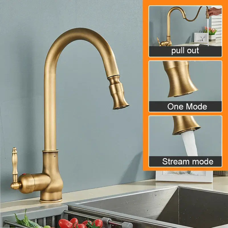 Decorbites™ antique brass kitchen faucet with swivel curved spout and pull down spray head in brass finish