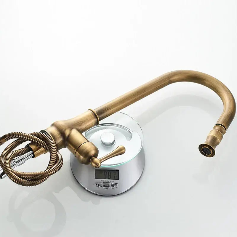 Decorbites antique brass pull kitchen faucet with curved spout and coiled hose in brass pull finish