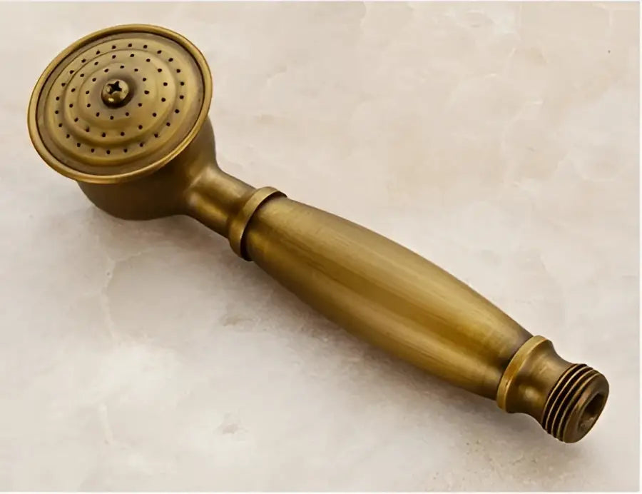 DecorBites™ antique brass shower set featuring a textured elongated handle and circular nozzles on rain head