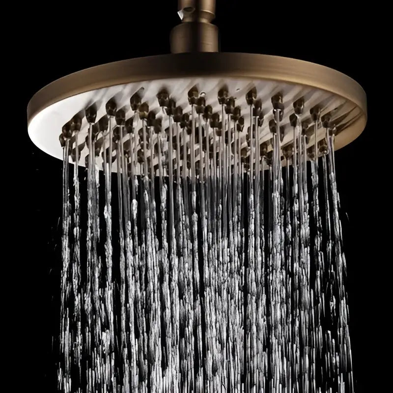 Brass round showerhead with multiple jets in the decorbites™ antique brass shower set featuring an 8 inch rain head