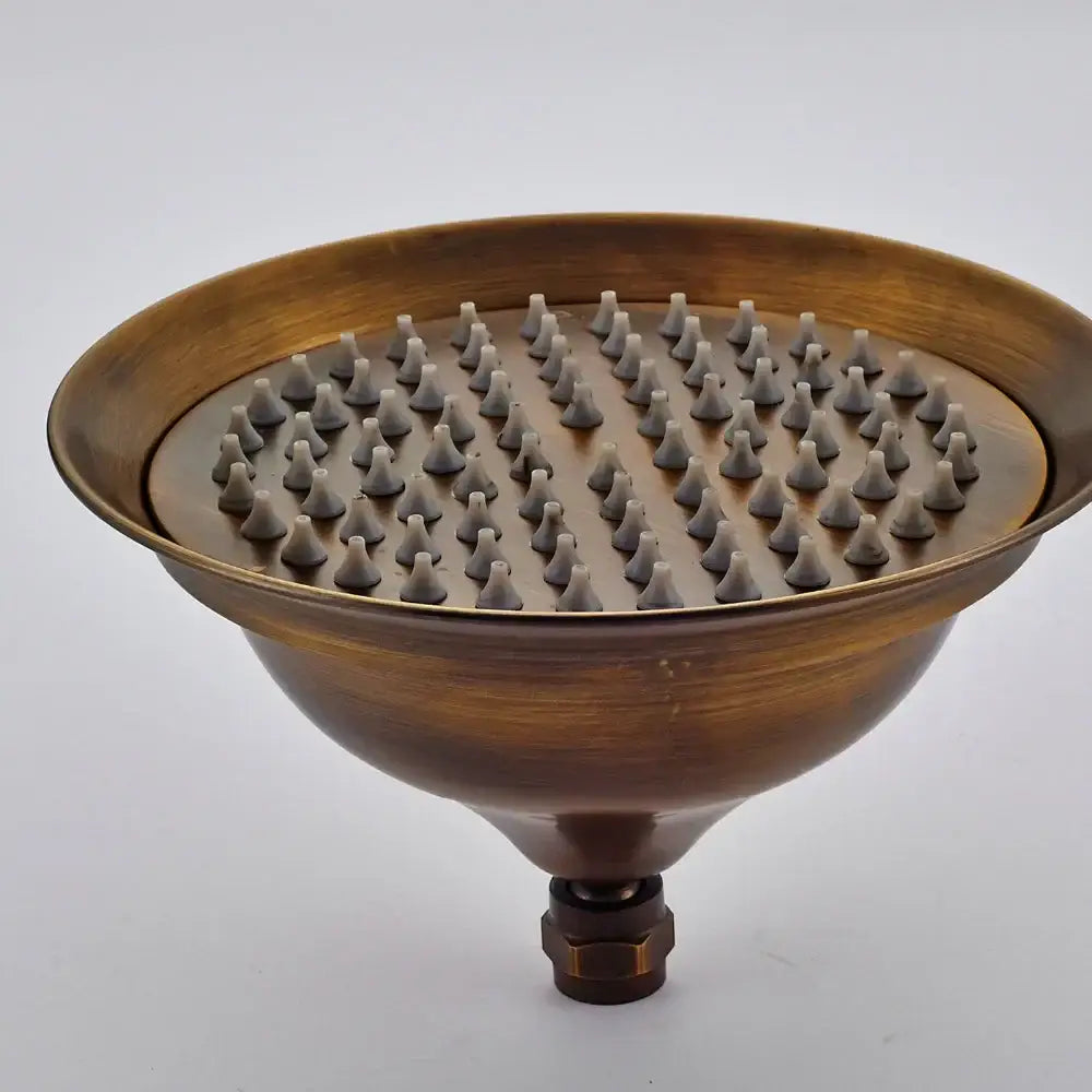 Antique brass shower head with circular array of gray cone nozzles in DecorBites™ antique brass shower set