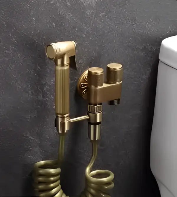 Decorbites™ antique bronze bidet sprayer set with brass high pressure bidet sprayer and coiled hose mounted on wall