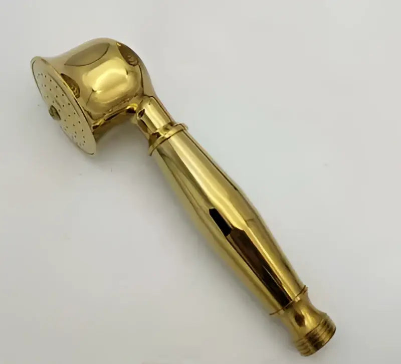Antique gold handheld shower head by decorbites with polished brass finish, classic design, textured grip, holder, and hose