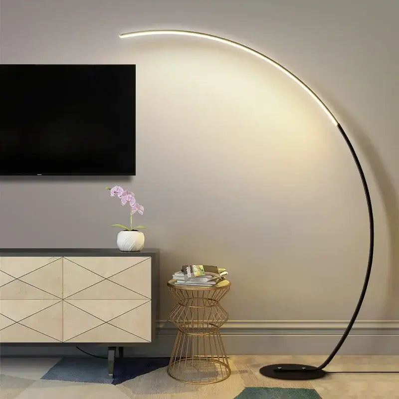 Modern curved decorbites arc floor lamp with sleek black metal frame and warm white rgb lighting for indoor decor