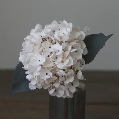 DecorBites artificial hydrangea silk flower arrangement with delicate white petals and dark green leaves in black vase