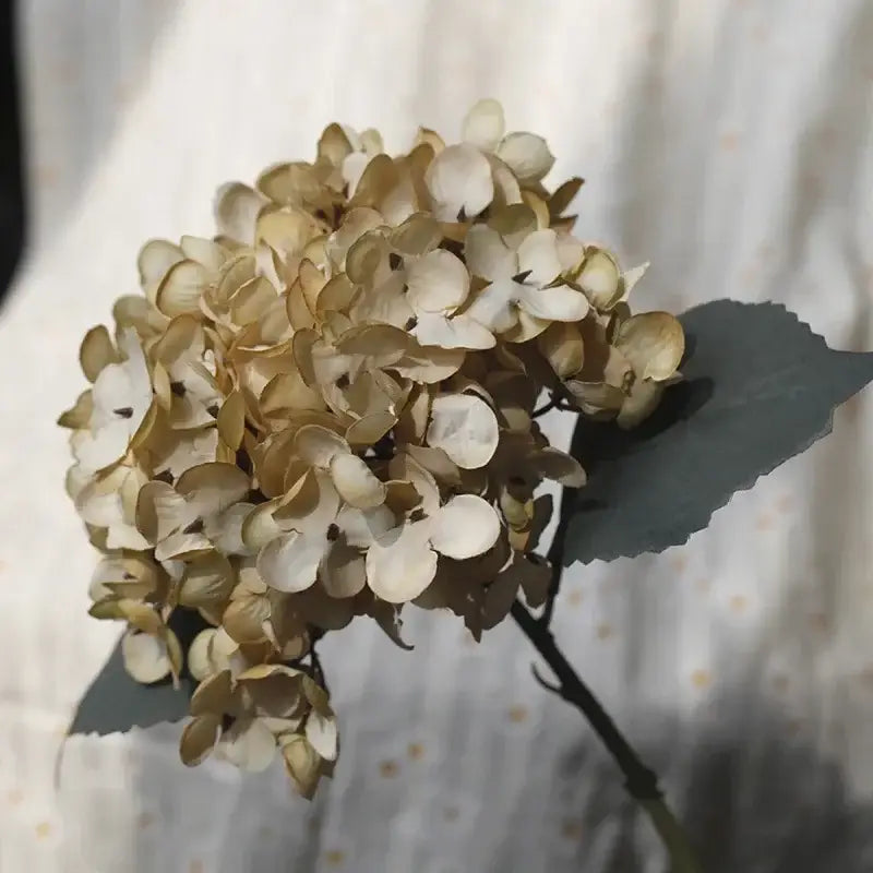 A dried decorbites artificial hydrangea silk flower arrangement with soft cream and beige papery petals for wedding decor