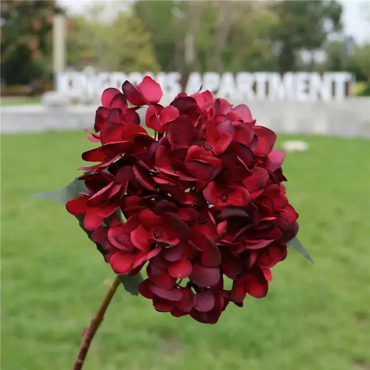 A cluster of deep red artificial hydrangea wedding flowers with layered petals and green leaves for indoor decoration