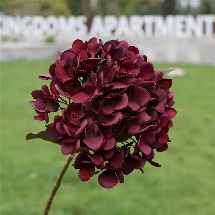 A dense cluster of deep burgundy artificial hydrangea wedding flowers with layered petals for indoor decoration