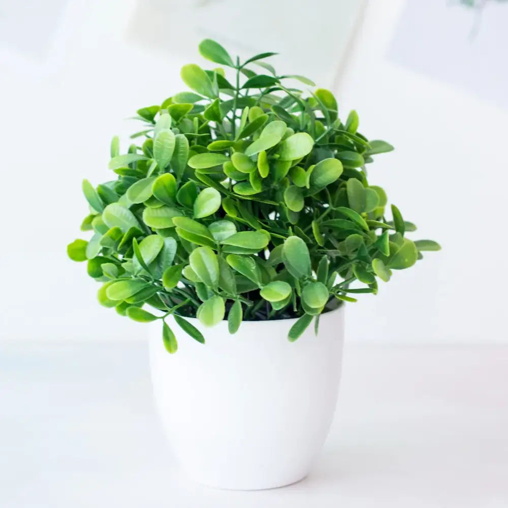 Decorbites artificial mini green boxwood topiary in white ceramic pot artificial mini plant bonsai for desktop decor