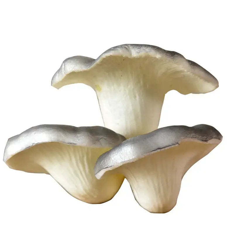 Three fresh silver-veiled artificial mushroom fungus with creamy caps and delicate gills for hanging tree decor