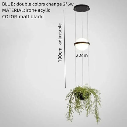 Matte black DecorBites™ artificial plant pendant light with adjustable spherical acrylic bulb and hanging pot