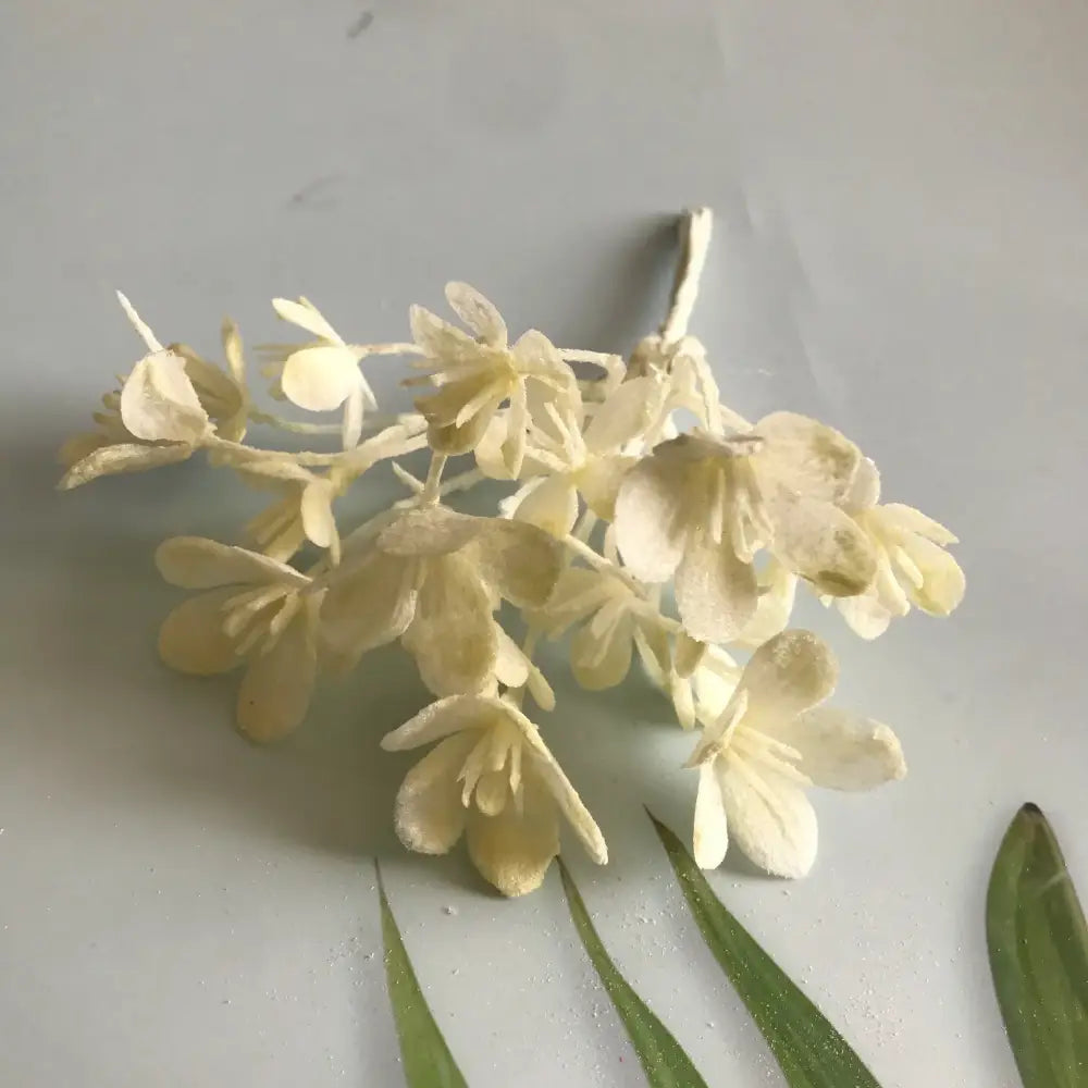 A delicate cluster of off-white artificial plants with slender stems and layered petals from decorbites artificial plants collection