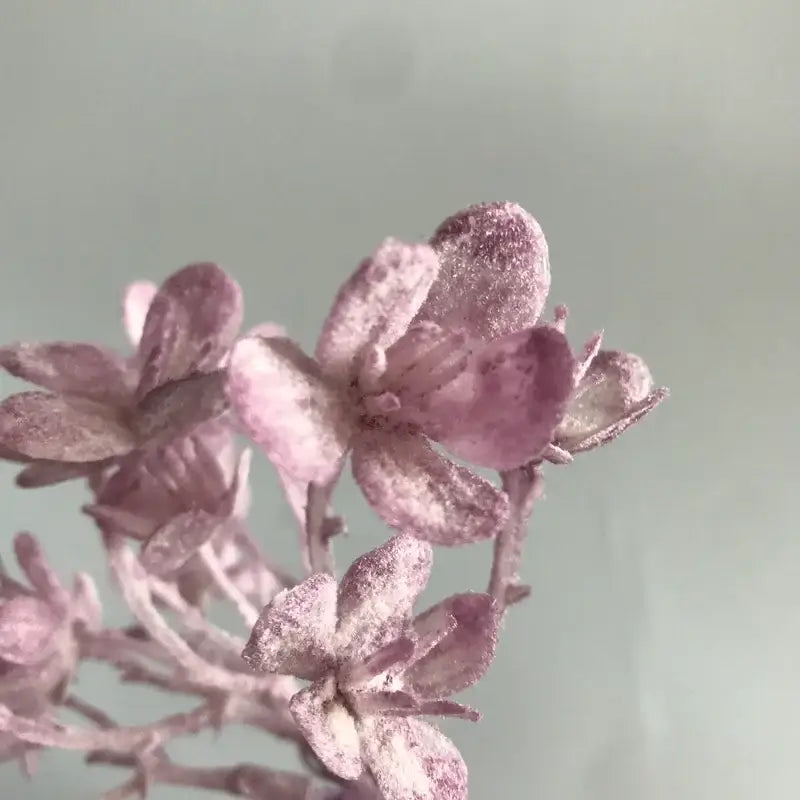 A delicate cluster of frosted lavender hydrangea blossoms on slender stems in decorbites artificial plants green grass decor