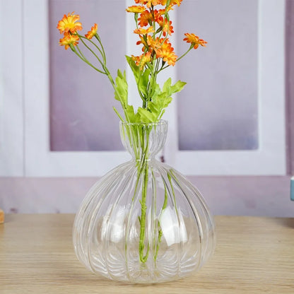 Avocado Seed Starter Hydroponic Vase - E - Vase