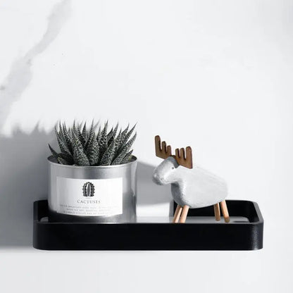 Silver cylindrical planter with spiky succulent on decorbites black glass bathroom shelf corner rack aluminum cosmetic shelf