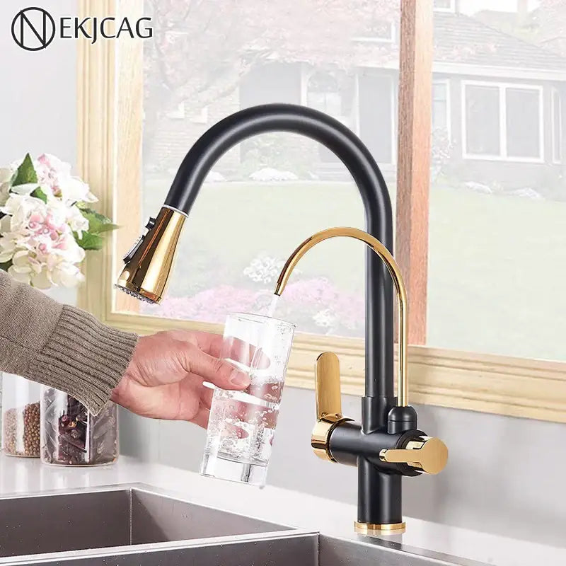 Decorbites black gold filter kitchen faucet with dual spout handles and pull-down spray head in black gold finish