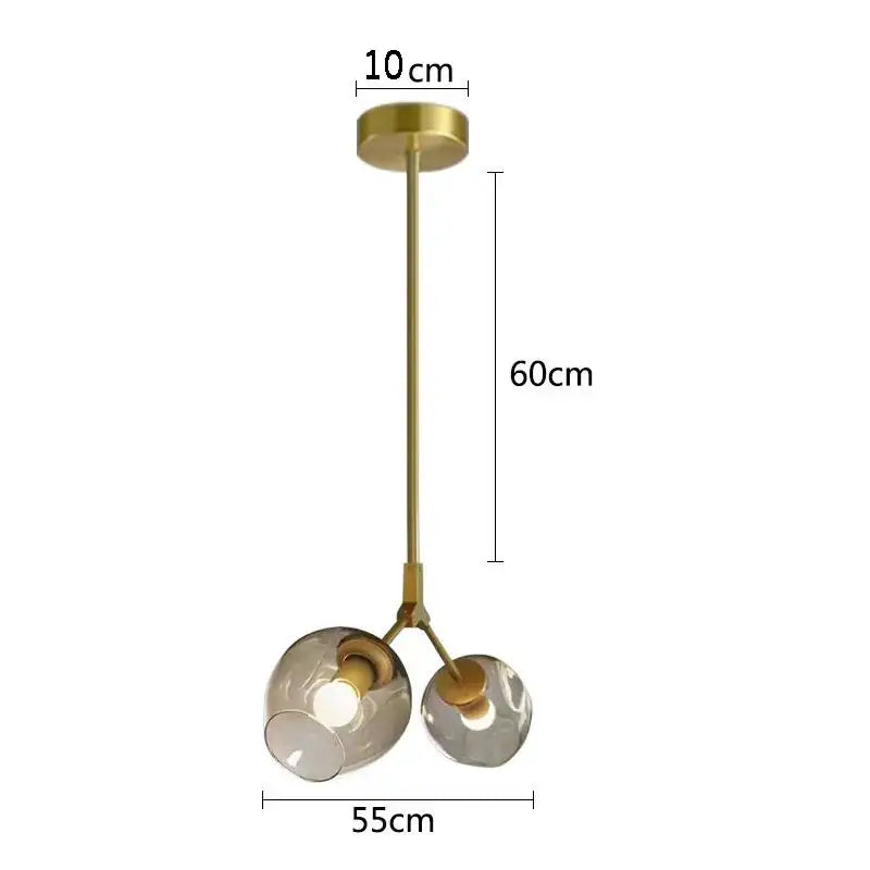 A modern brass-finished decorbites black gold pendant light with two smoked glass shades for wall lamps