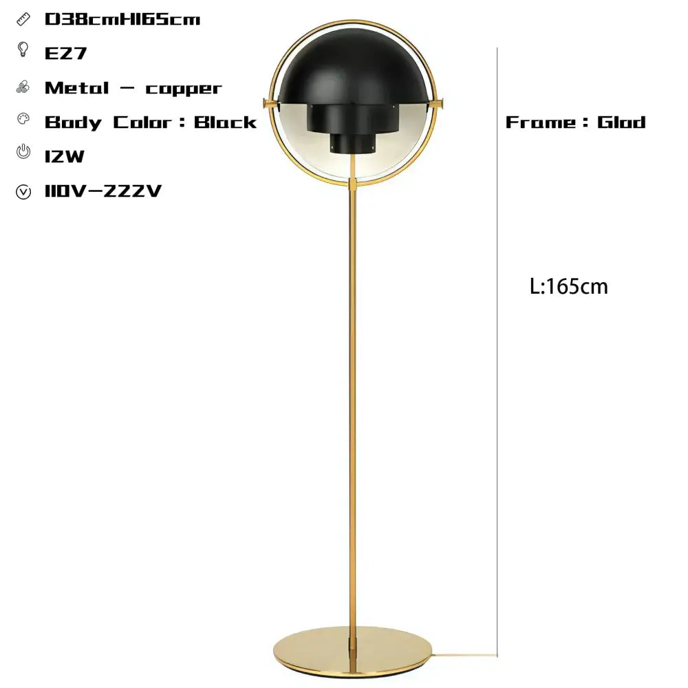 Decorbites black gold metal floor lamp with sleek circular frame design for modern living room and bedroom décor