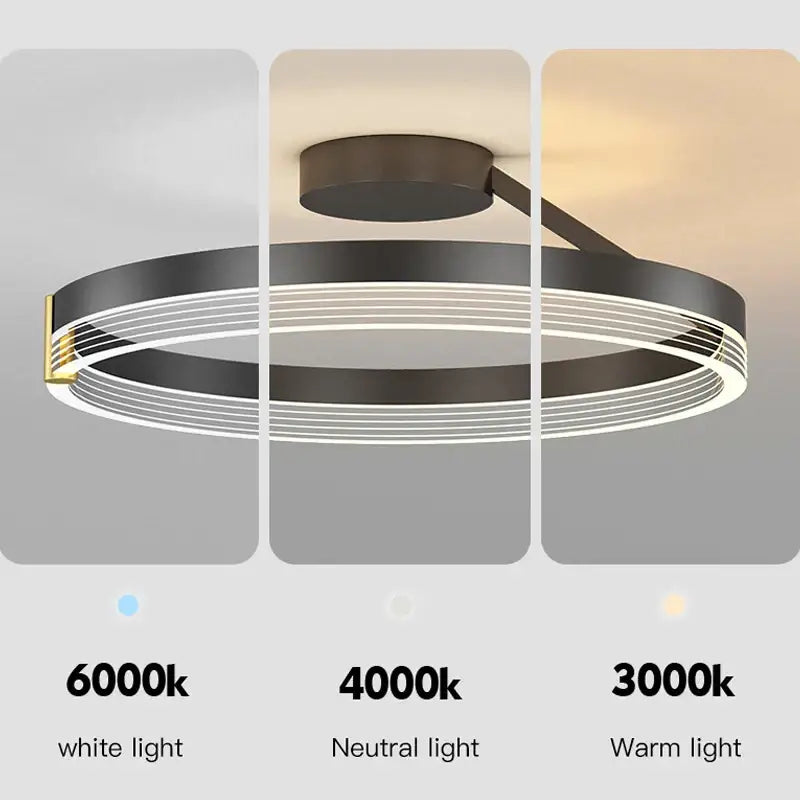Modern black gold round chandelier by DecorBites featuring illuminated rings and gold accent for elegant home decor