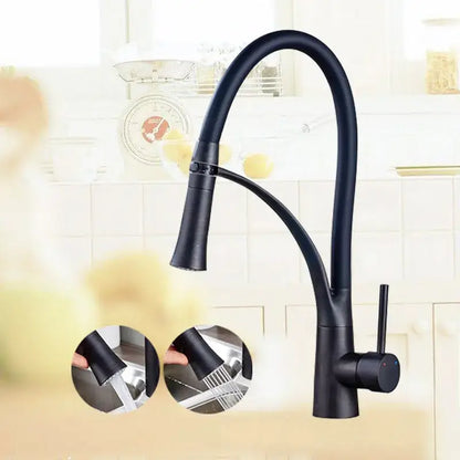 Decorbites black hose kitchen faucet with black matte finish flexible gooseneck spout and pull-down sprayer
