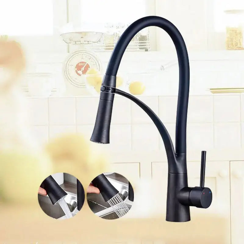 Decorbites black hose kitchen faucet with black matte finish flexible gooseneck spout and pull-down sprayer