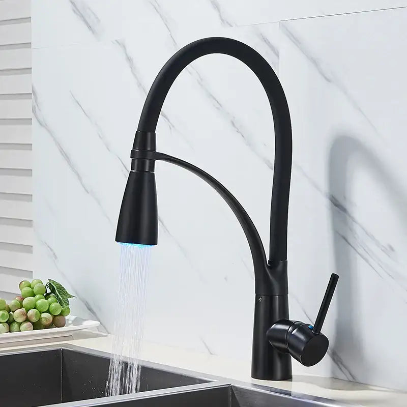 DecorBites black hose kitchen faucet with black matte finish, curved spout, blue led lighting, single handle, pull down sprayer