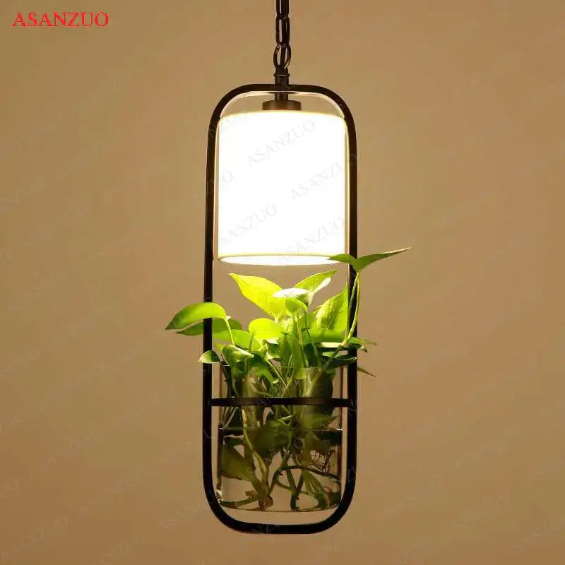 Decorbites black iron pendant light with black iron cage frame and clear glass shade housing a green potted plant