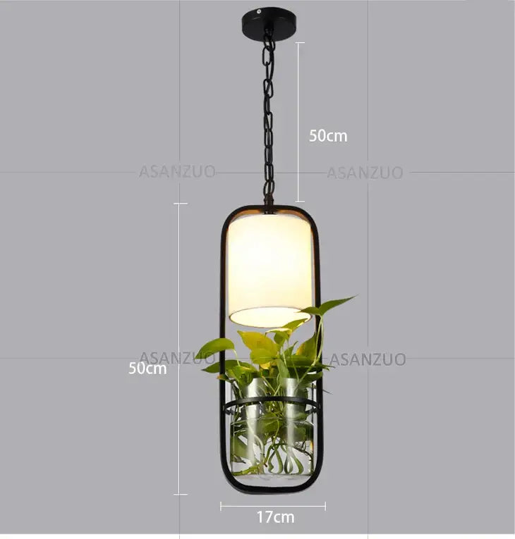 Decorbites black iron cage pendant light with black metal frame rectangular glass shade and integrated plant holder