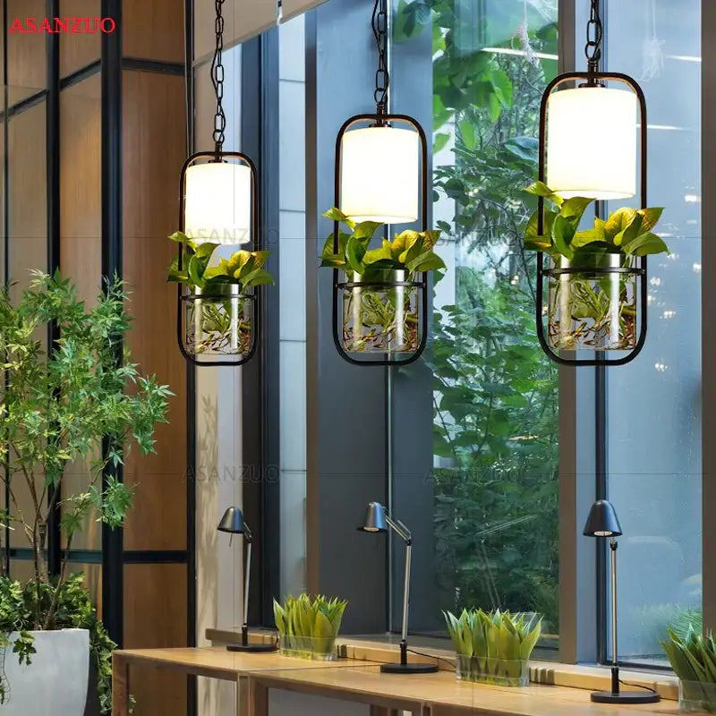 Decorbites black iron cage pendant light with clear glass planters and black metal frame housing green plants