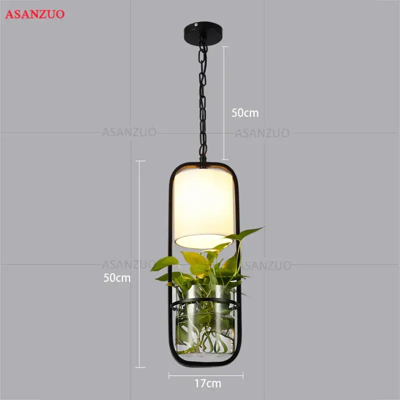 Decorbites black iron cage pendant light with glass shade and integrated plant holder in black metal and glass