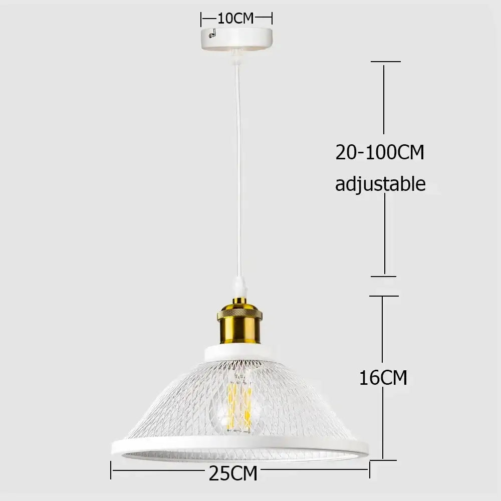 Decorbites black iron pendant light with white pendant, gold-toned bulb holder, clear textured glass shade