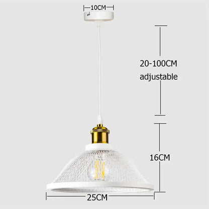 Decorbites black iron pendant light with white pendant, gold-toned bulb holder, clear textured glass shade