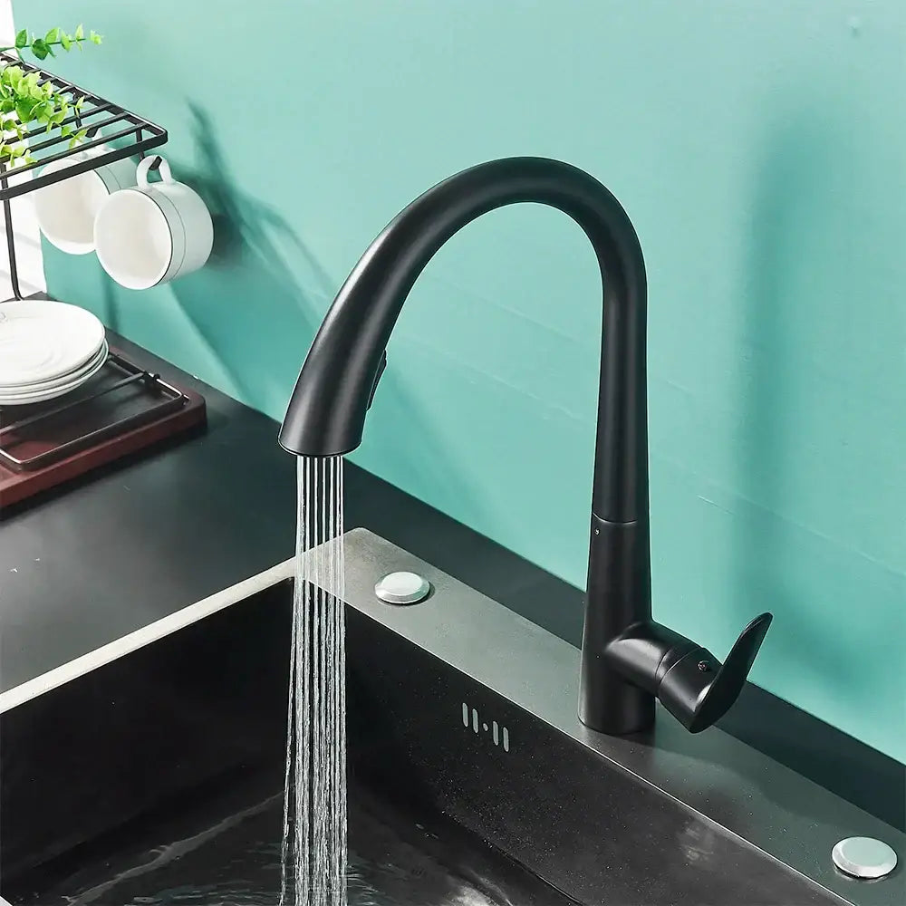 DecorBites black kitchen faucet single handle pull out mixer tap with black matte finish curved spout and spray head