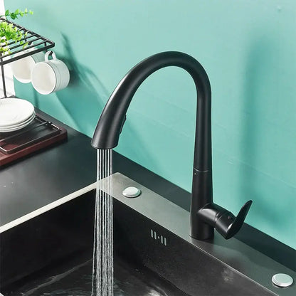 DecorBites black kitchen faucet single handle pull out mixer tap with black matte finish curved spout and spray head