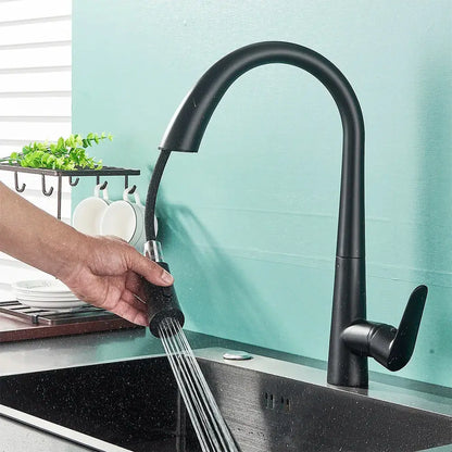 DecorBites black kitchen faucet single handle pull out spray head matte finish hot cold water mixer tap