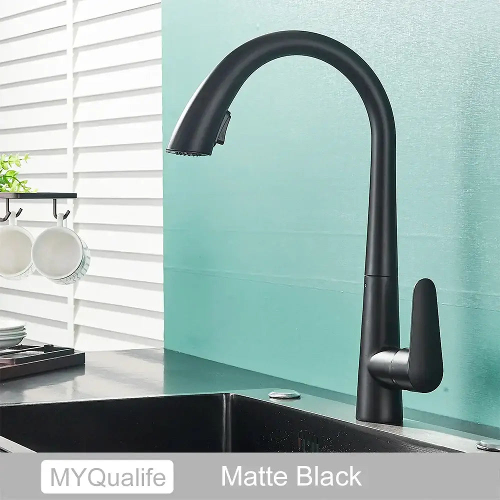 Matte black DecorBites kitchen faucet with single handle and sleek curved spout for modern kitchen use