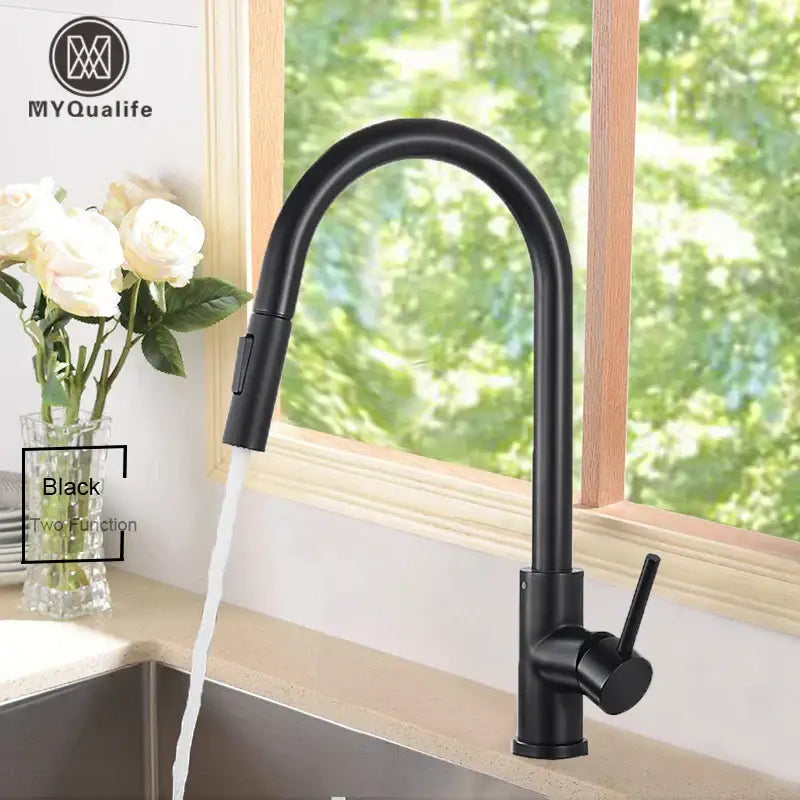 Black matte-finish decorbites black kitchen faucet with single handle pull out mixer and two function spray head